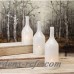 Birch Lane™ Bremen 3 Piece Decorative Bottle Set BL17844